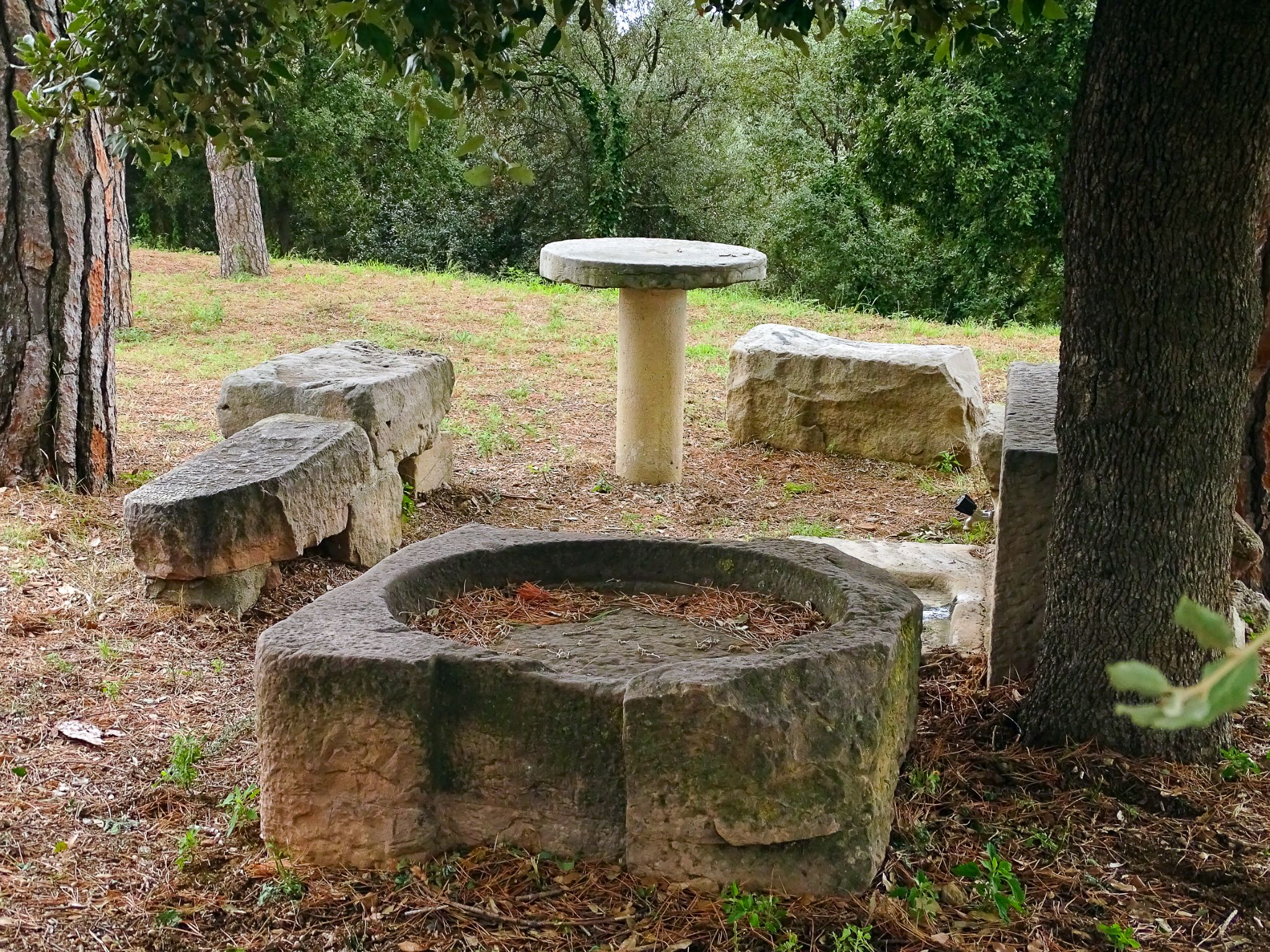 006