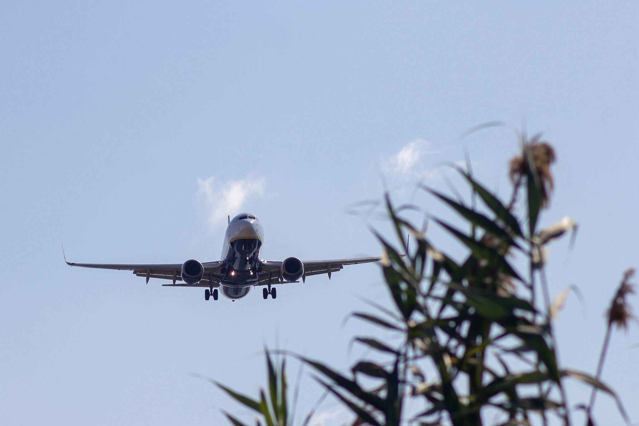 Avions