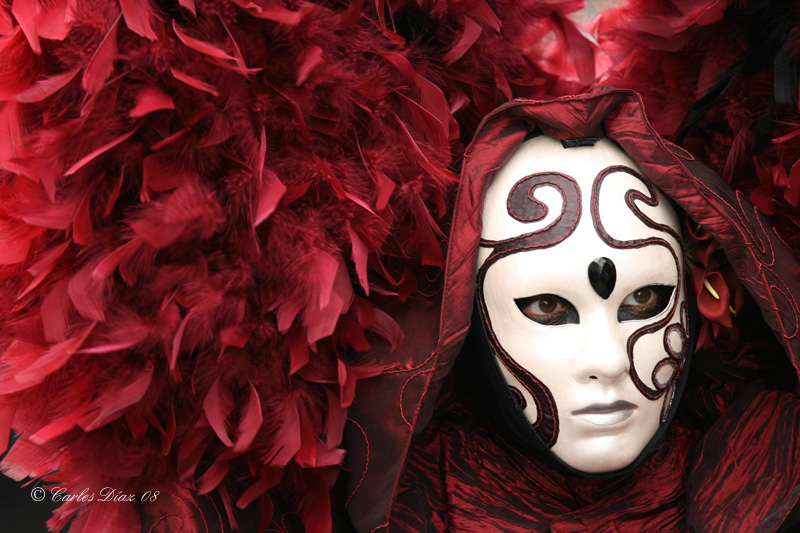 Carnaval De Venecia