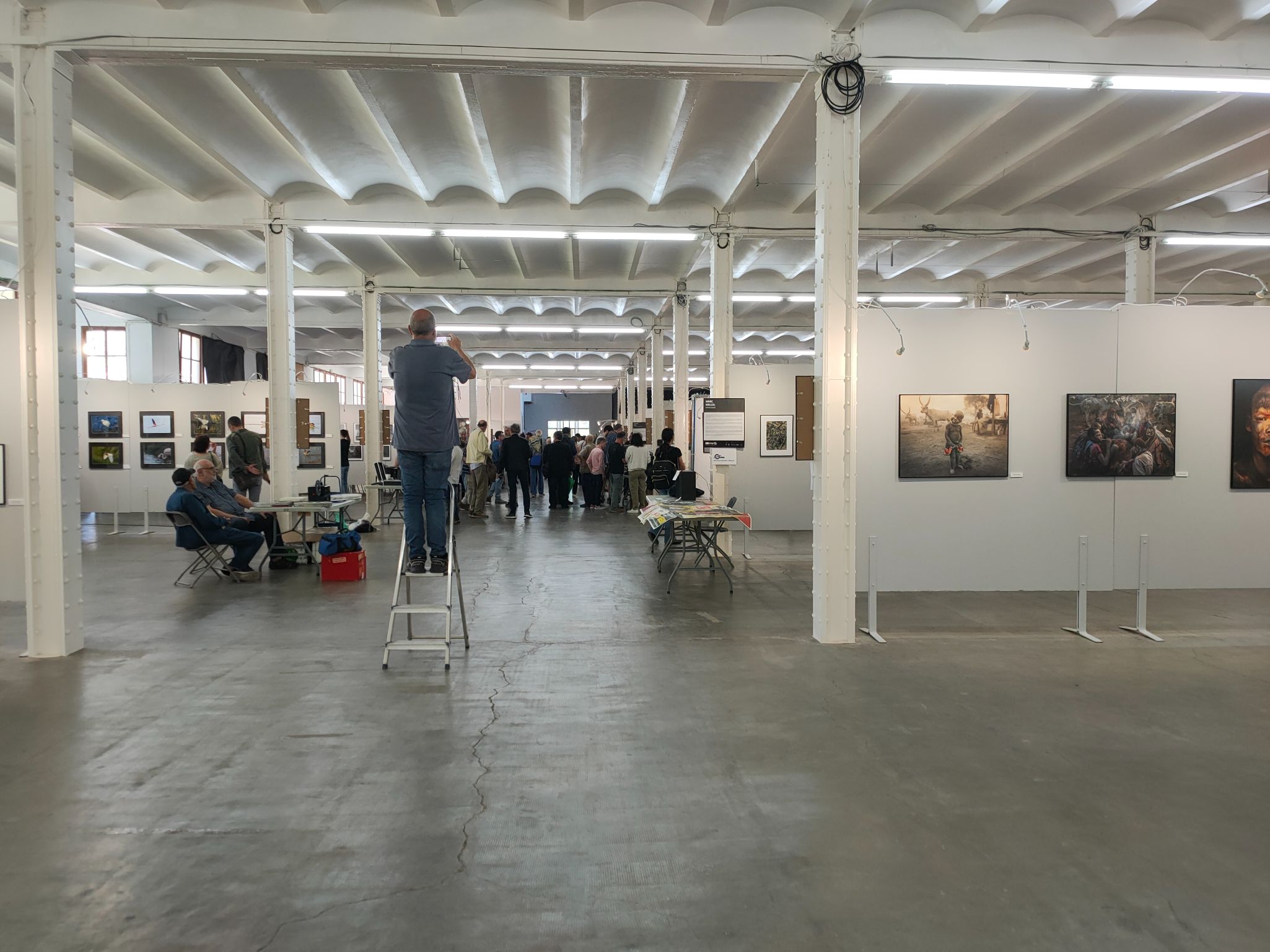 IMG20240511123350